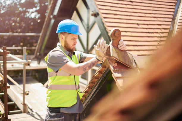 Best Storm Damage Roof Repair  in Midway South, TX